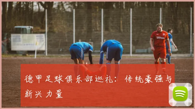 德甲足球俱乐部巡礼：传统豪强与新兴力量